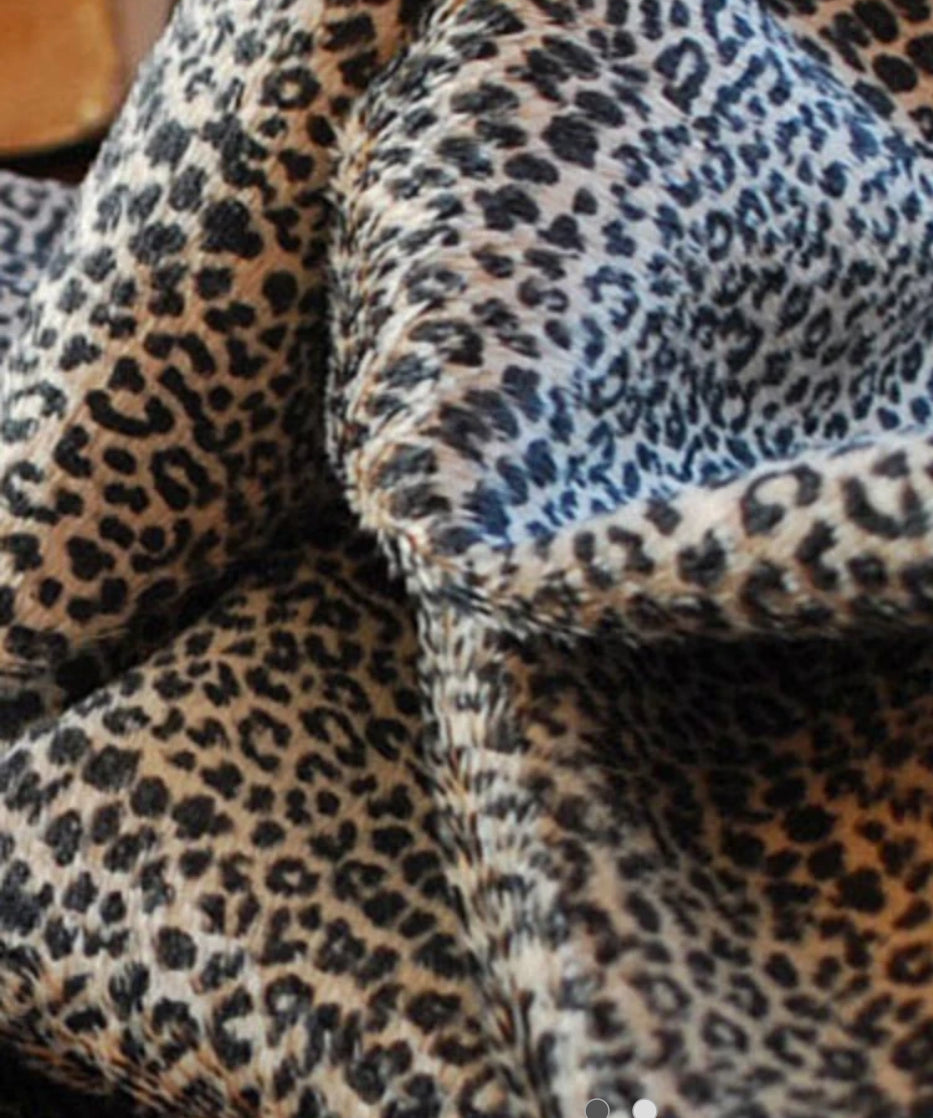 Veste en Beluga